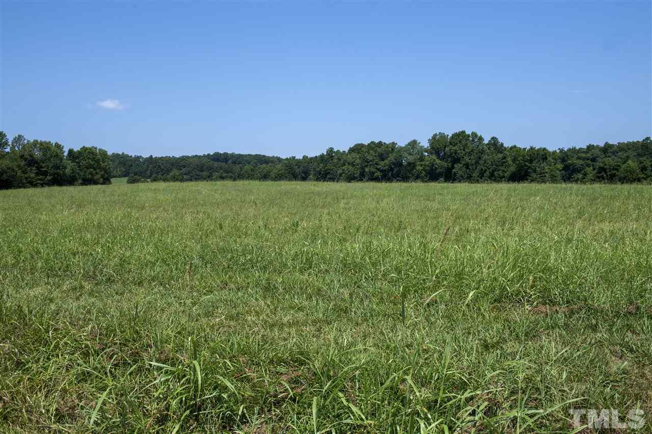 602 Quail Roost Farm Road Rougemont, NC 27572 - Photo 17 of 30