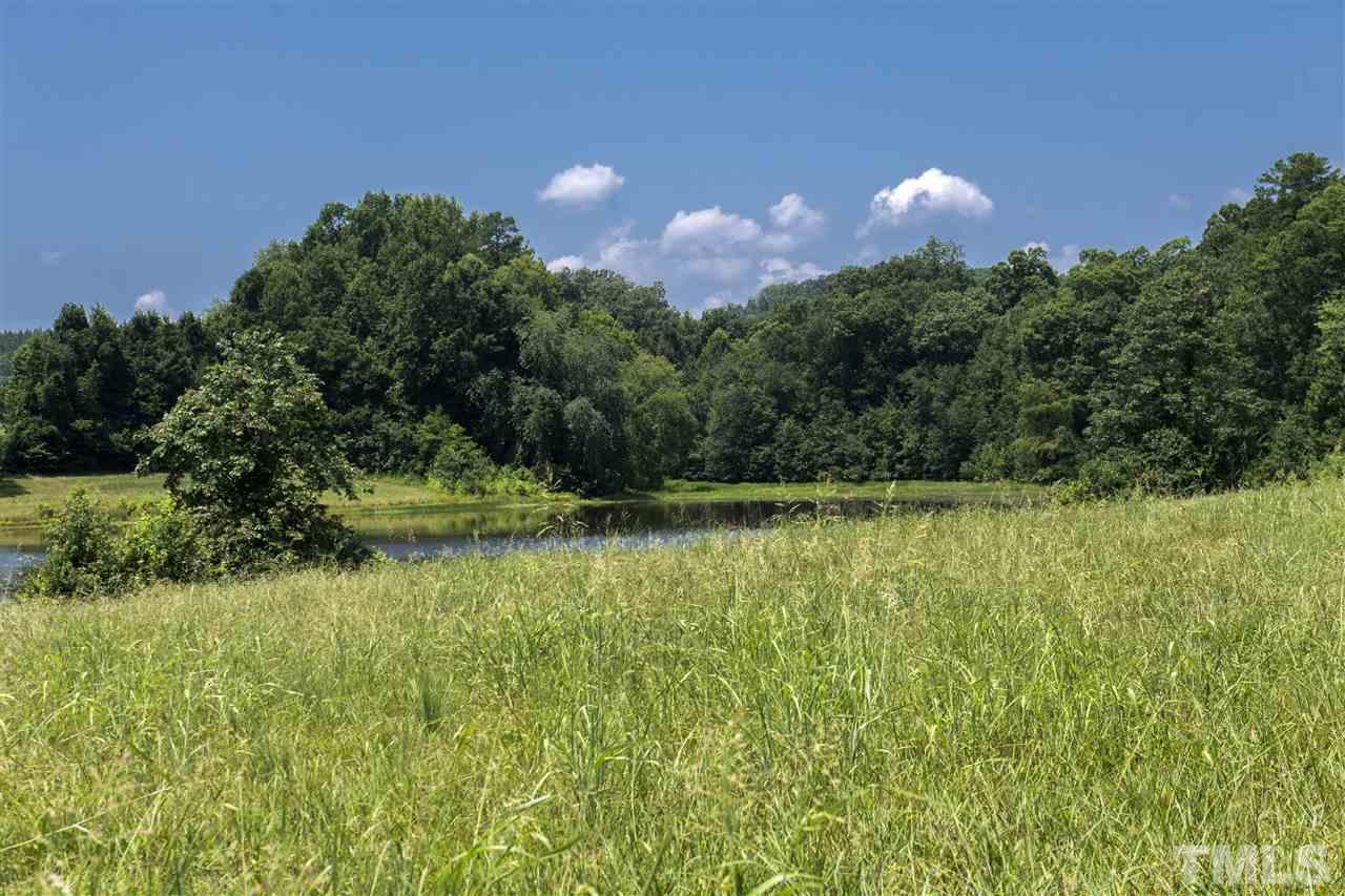 602 Quail Roost Farm Road Rougemont, NC 27572 - Photo 18 of 30