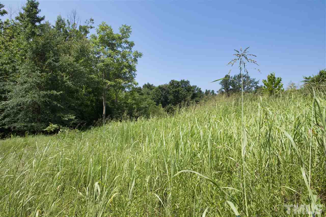 602 Quail Roost Farm Road Rougemont, NC 27572 - Photo 21 of 30
