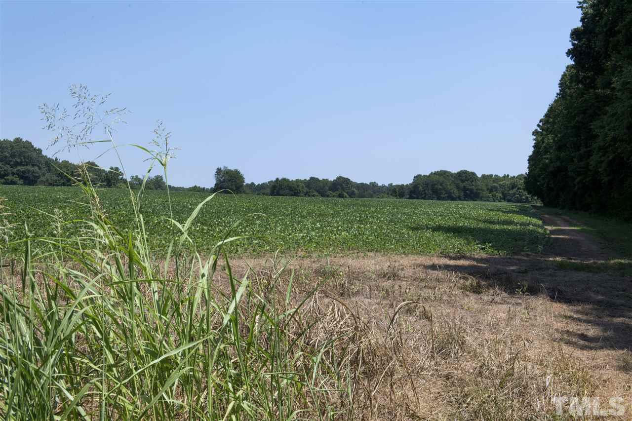 602 Quail Roost Farm Road Rougemont, NC 27572 - Photo 22 of 30
