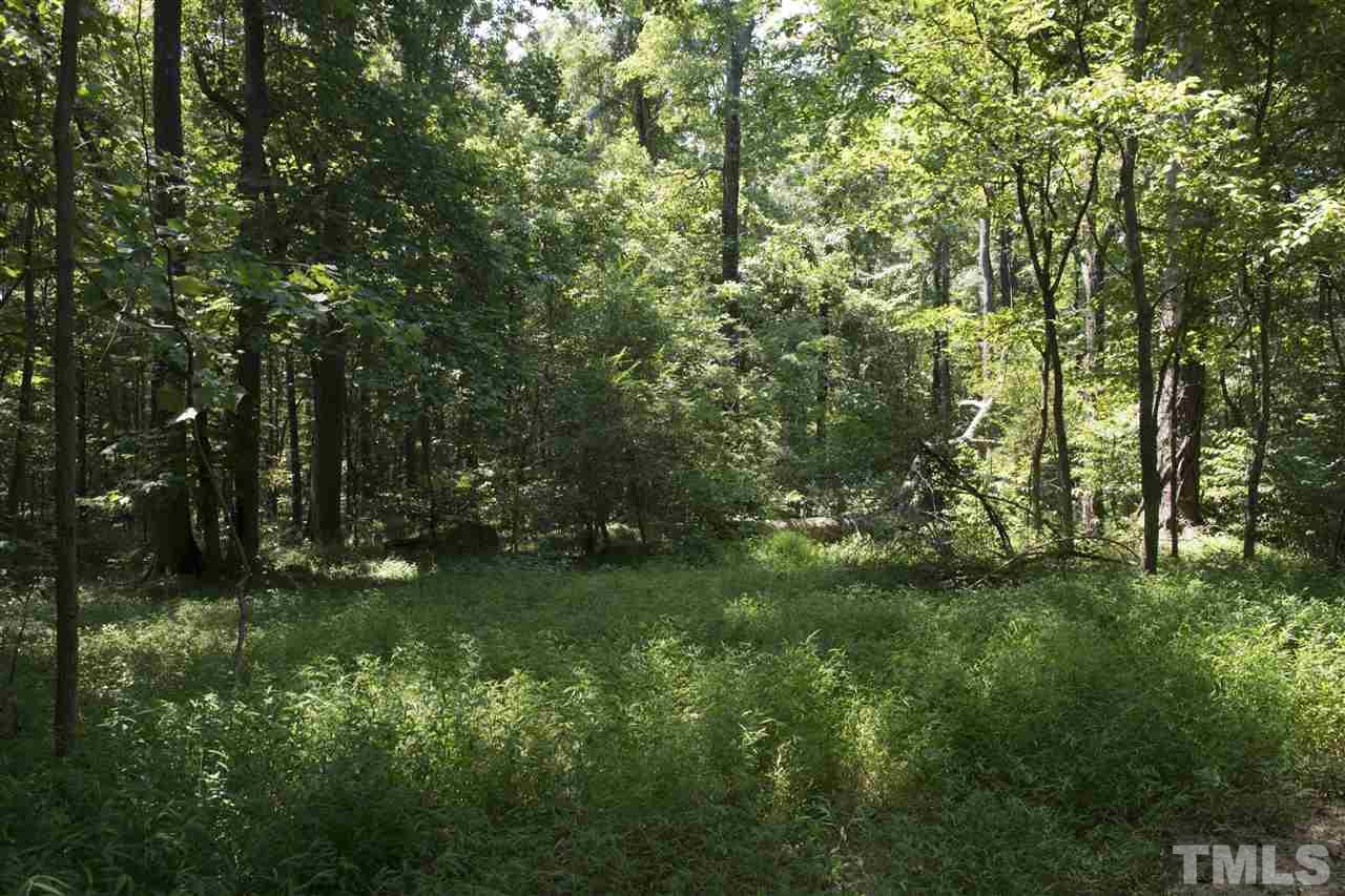 602 Quail Roost Farm Road Rougemont, NC 27572 - Photo 26 of 30