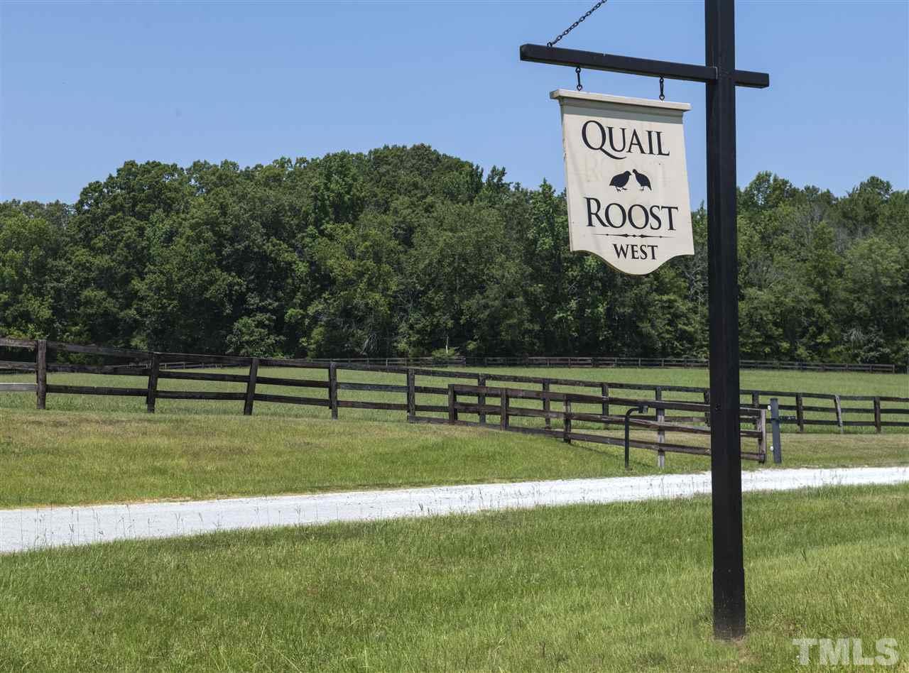 602 Quail Roost Farm Road Rougemont, NC 27572 - Photo 28 of 30