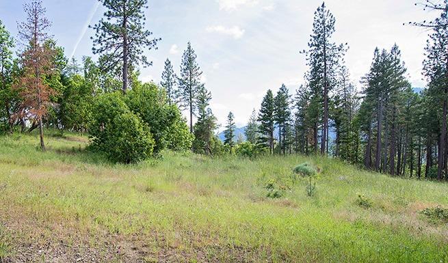 1175 Upper Applegate Road Jacksonville, OR 97530 - Photo 4 of 8 Additional Photo