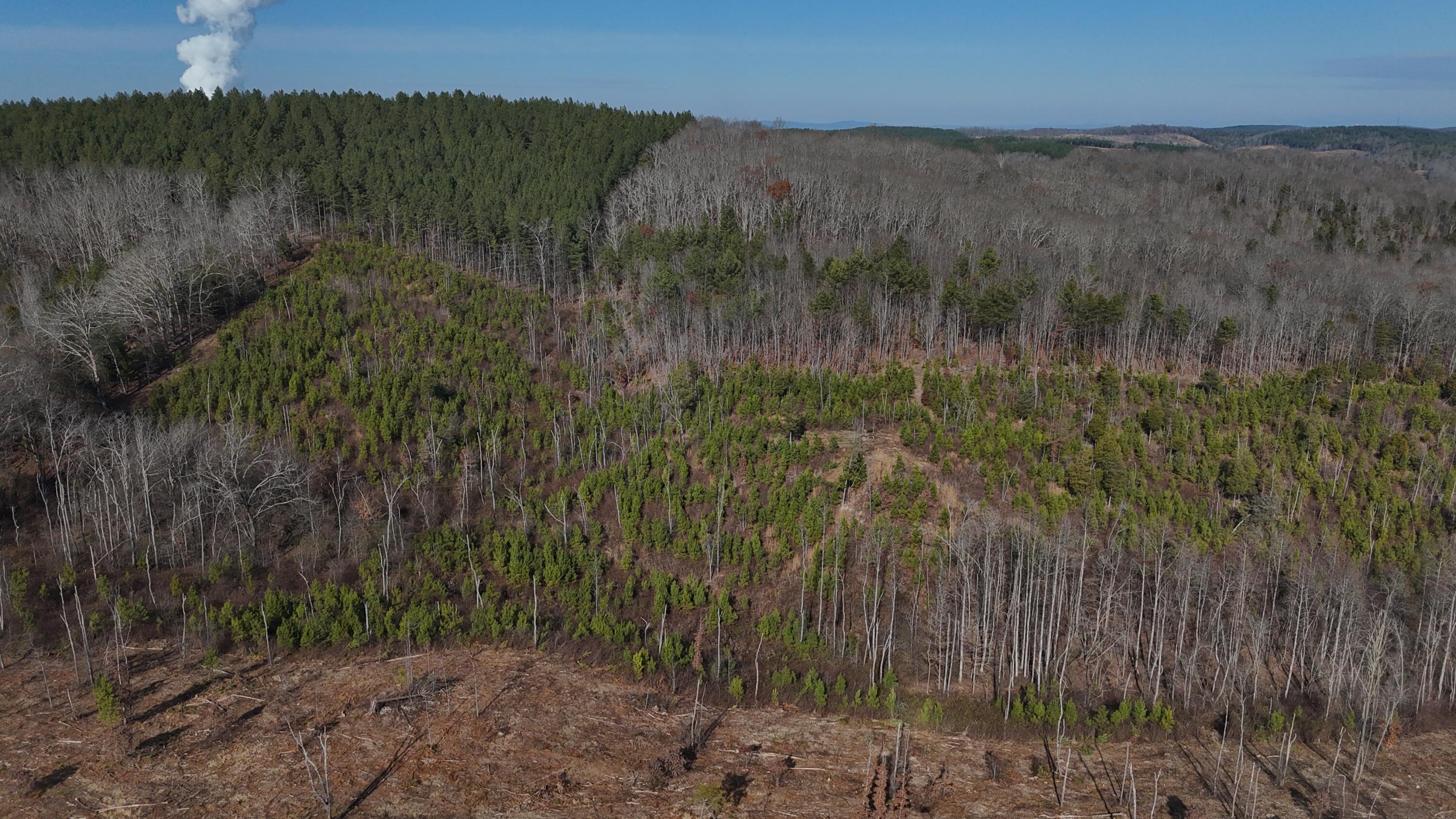 DJI_20251212132912_0135_D