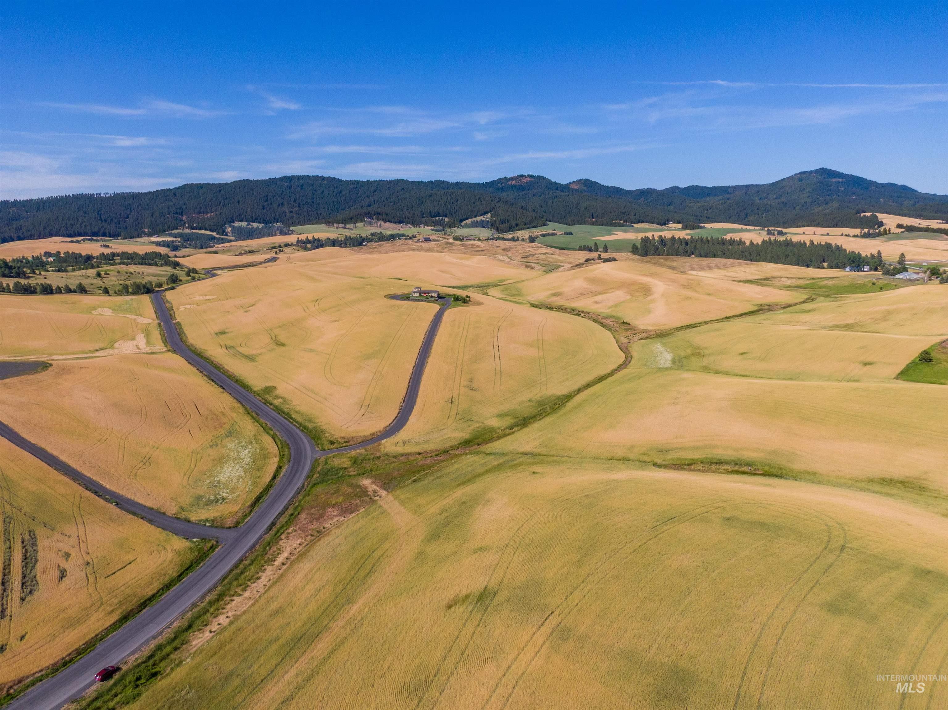 1010 Idlers Rest Road Moscow, ID 83843 - Photo 45 of 50 Gallery Image 45