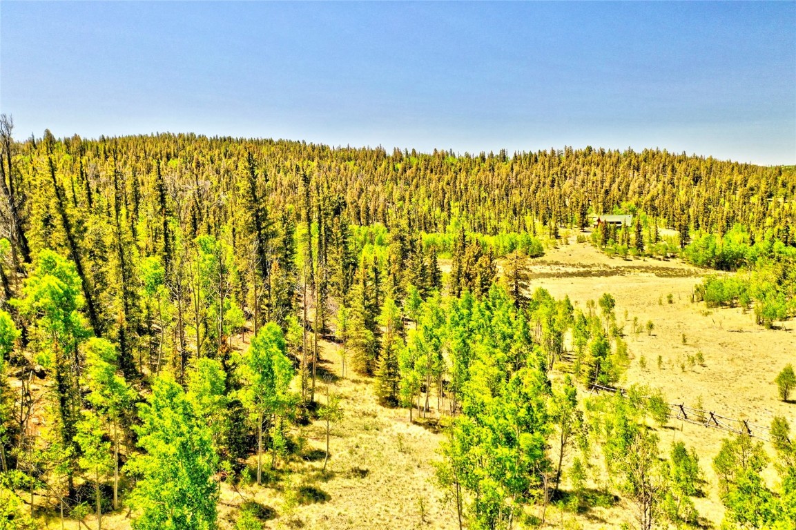a view of under an umbrella
