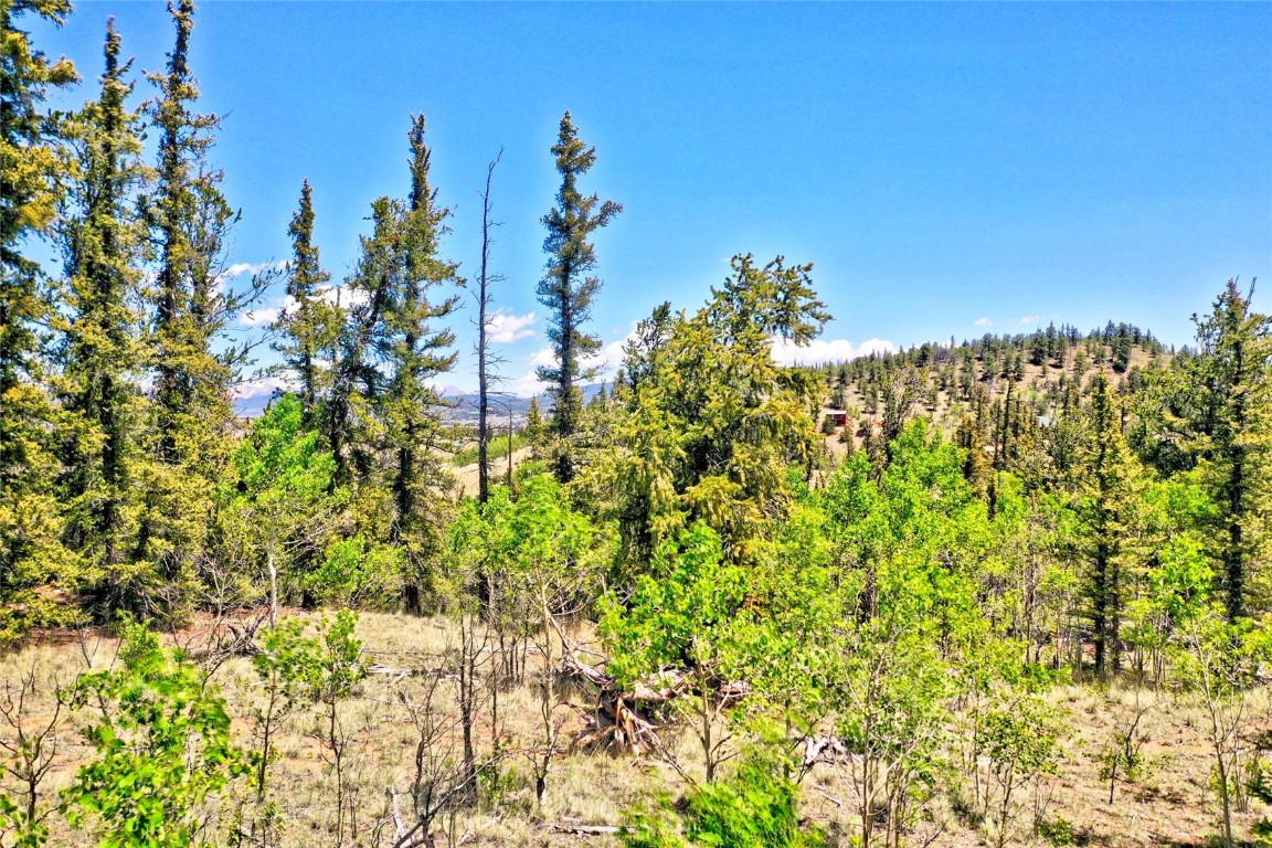 445 Warpath Road Como, CO 80432 - Photo 12 of 20