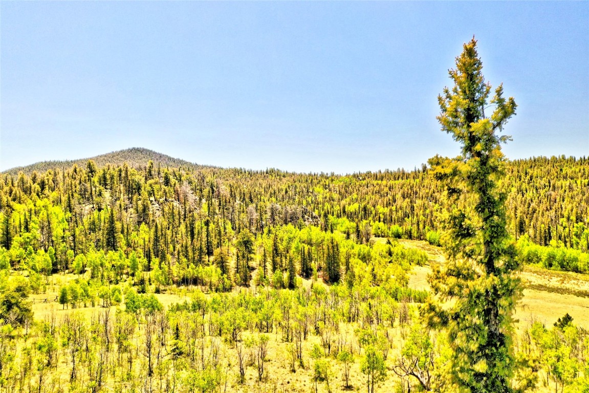 445 Warpath Road Como, CO 80432 - Photo 15 of 20