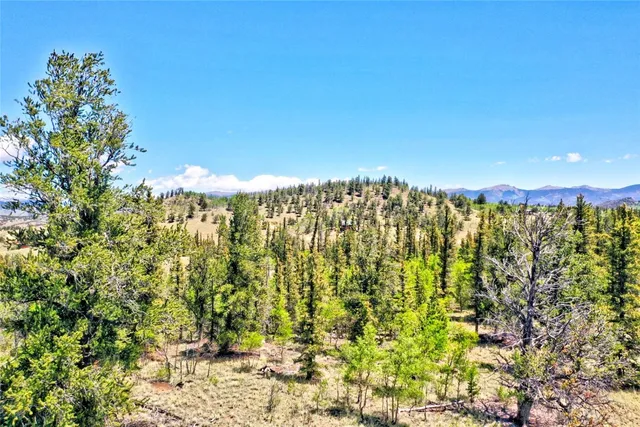 $42,500 | 445 Warpath Road, Como, CO 80432