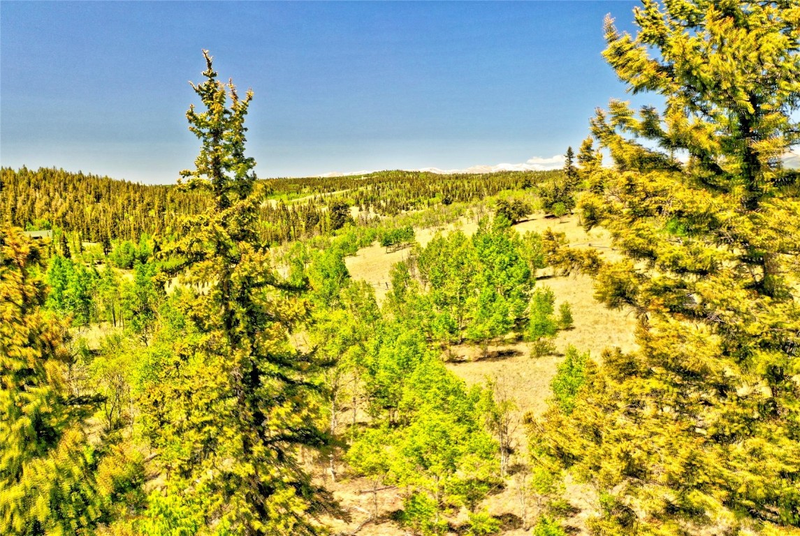 445 Warpath Road Como, CO 80432 - Photo 5 of 20 a view of a big yard