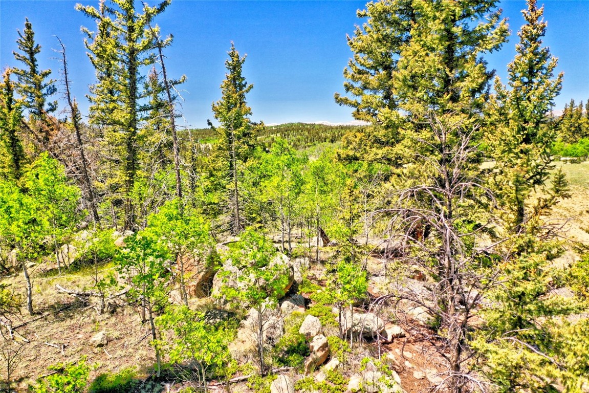 445 Warpath Road Como, CO 80432 - Photo 6 of 20 a view of a tree with a yard