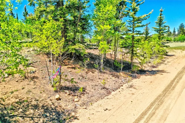 a backyard of a house with large trees