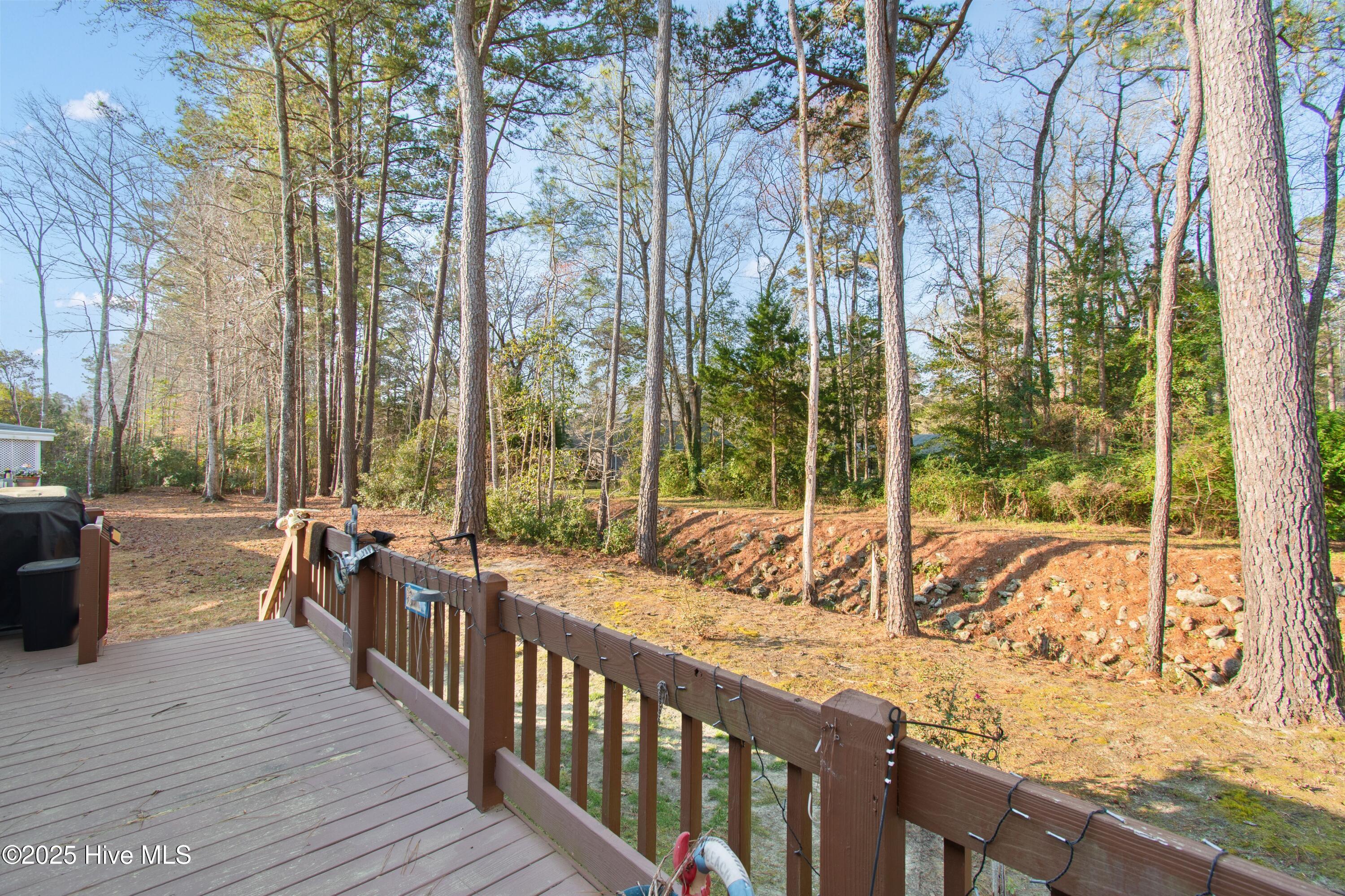445 Deer Path Calabash, NC 28467 - Photo 32 of 37 Back porch