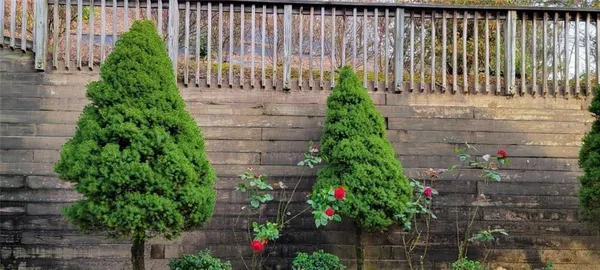 $2,500 | 314 Stone Valley Xin, Canton, GA 30114