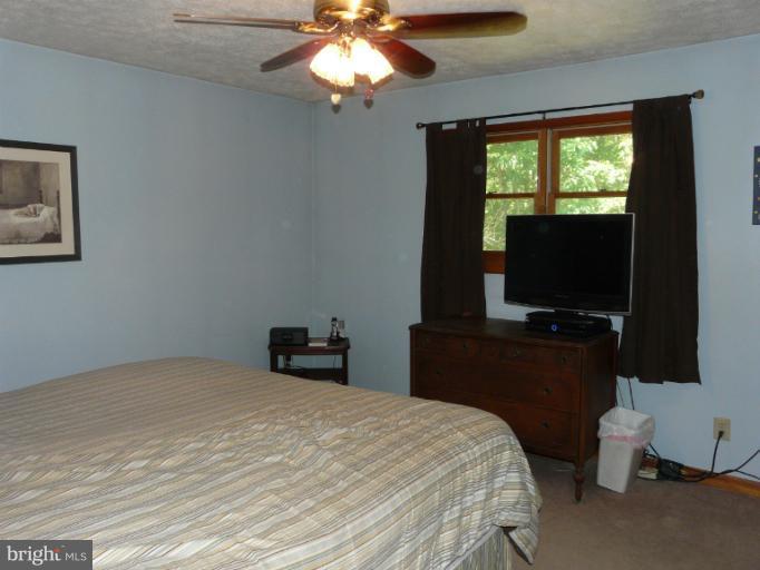 278 Water Plant Road Middletown, VA 22645 - Photo 10 of 30 Bedroom (Master)