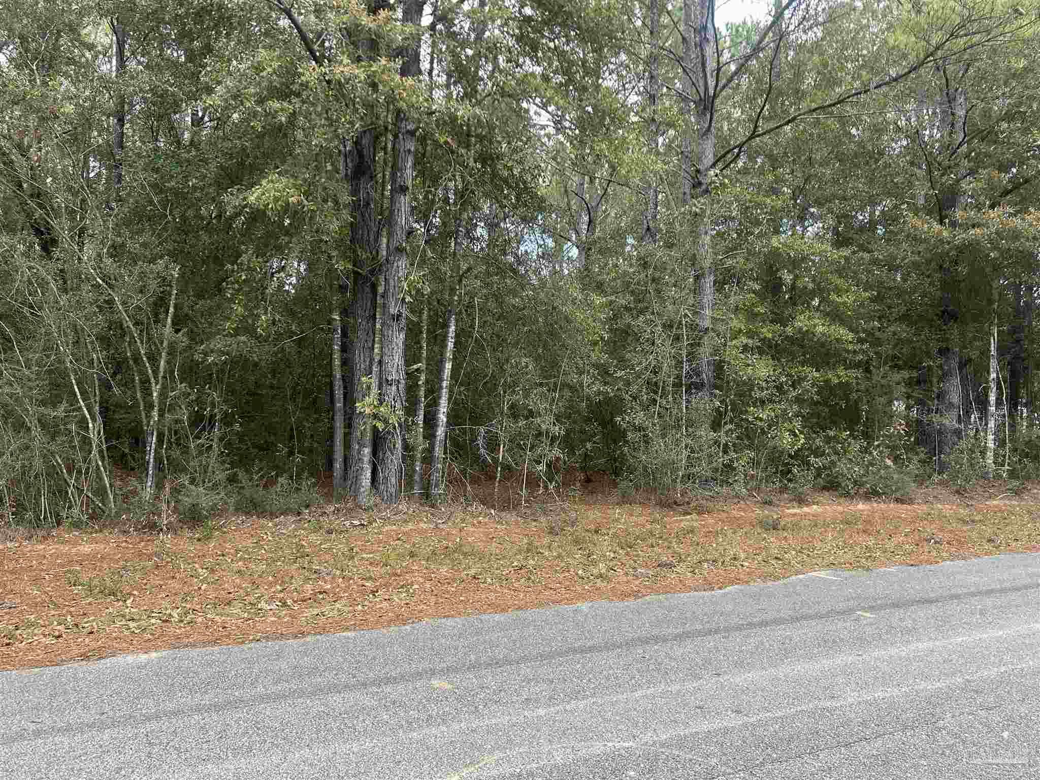 Hay Meadow Road Milton, FL 32583 - Photo 1 of 2 Gallery Image 1