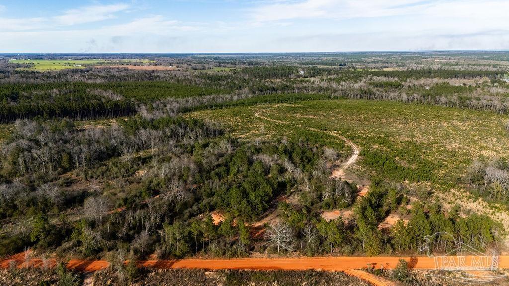 15 A Polktown Road Jay, FL 32565 - Photo 6 of 39 Gallery Image 6