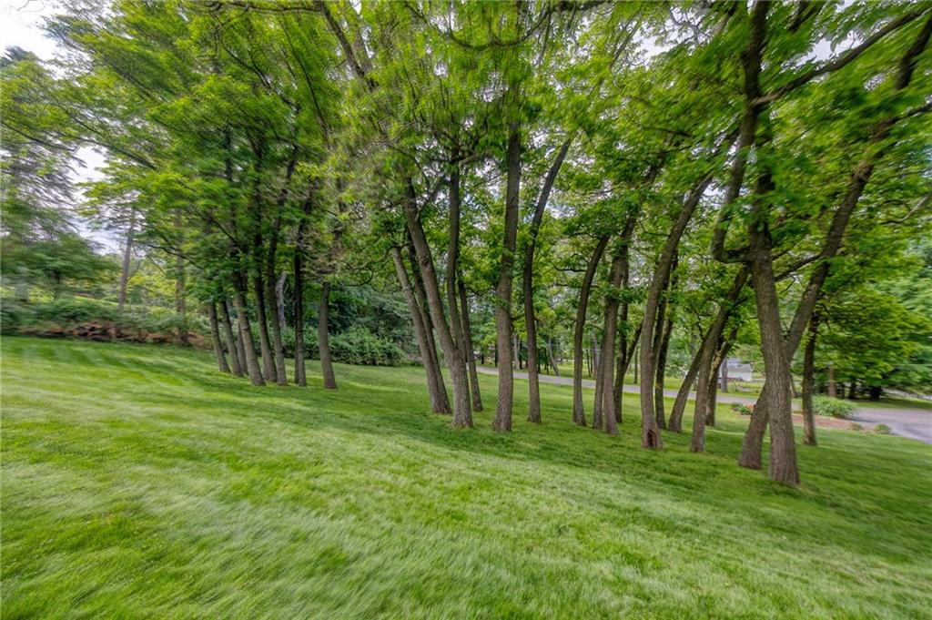 2261 Gray Ridge Road Allison Park, PA 15101 - Photo 9 of 42
