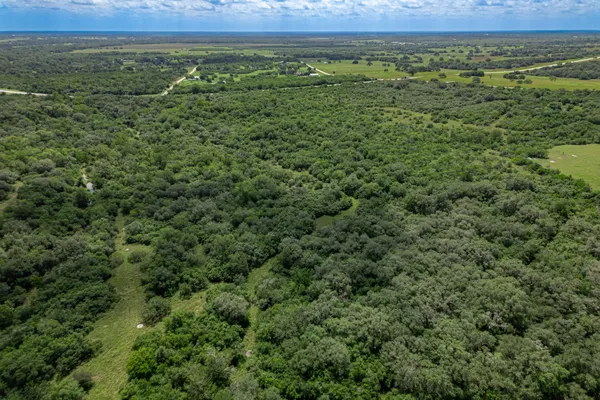 a view of a field with a lush green forest