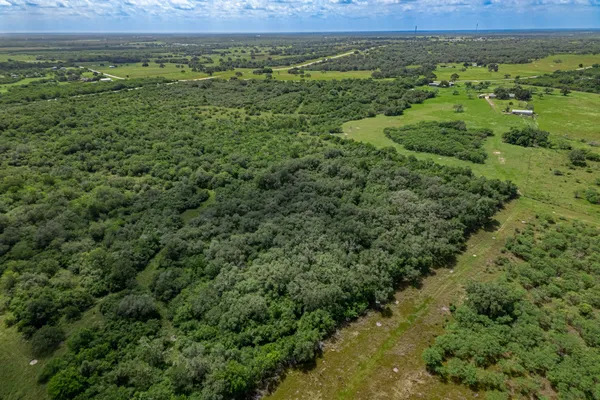 a view of a lush green forest with a lush green forest