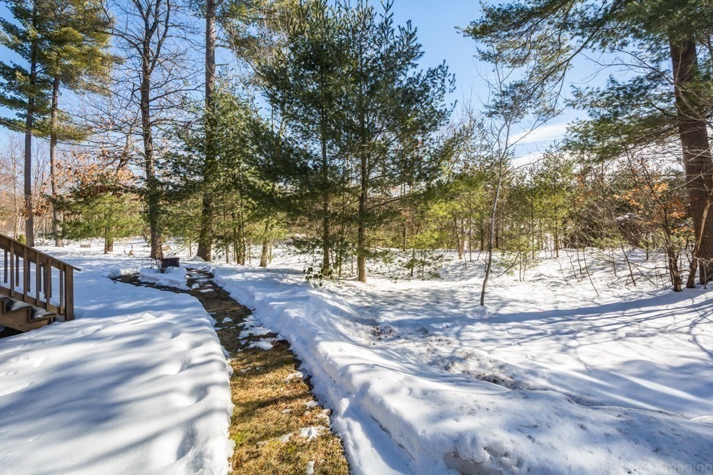 13 Trail Ridge Way, Unit D Harvard, MA 01451 - Photo 37 of 42 a view of a yard with trees