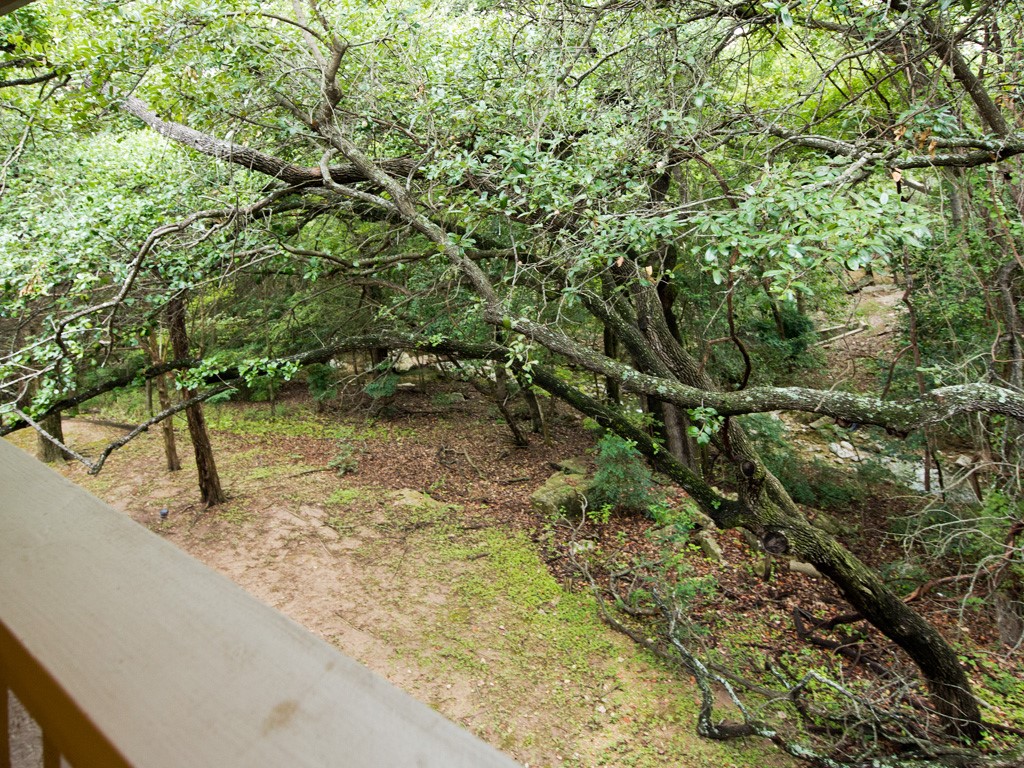 3839 Dry Creek Drive, Unit 220 Austin, TX 78731 - Photo 23 of 26 a view of a yard with a tree