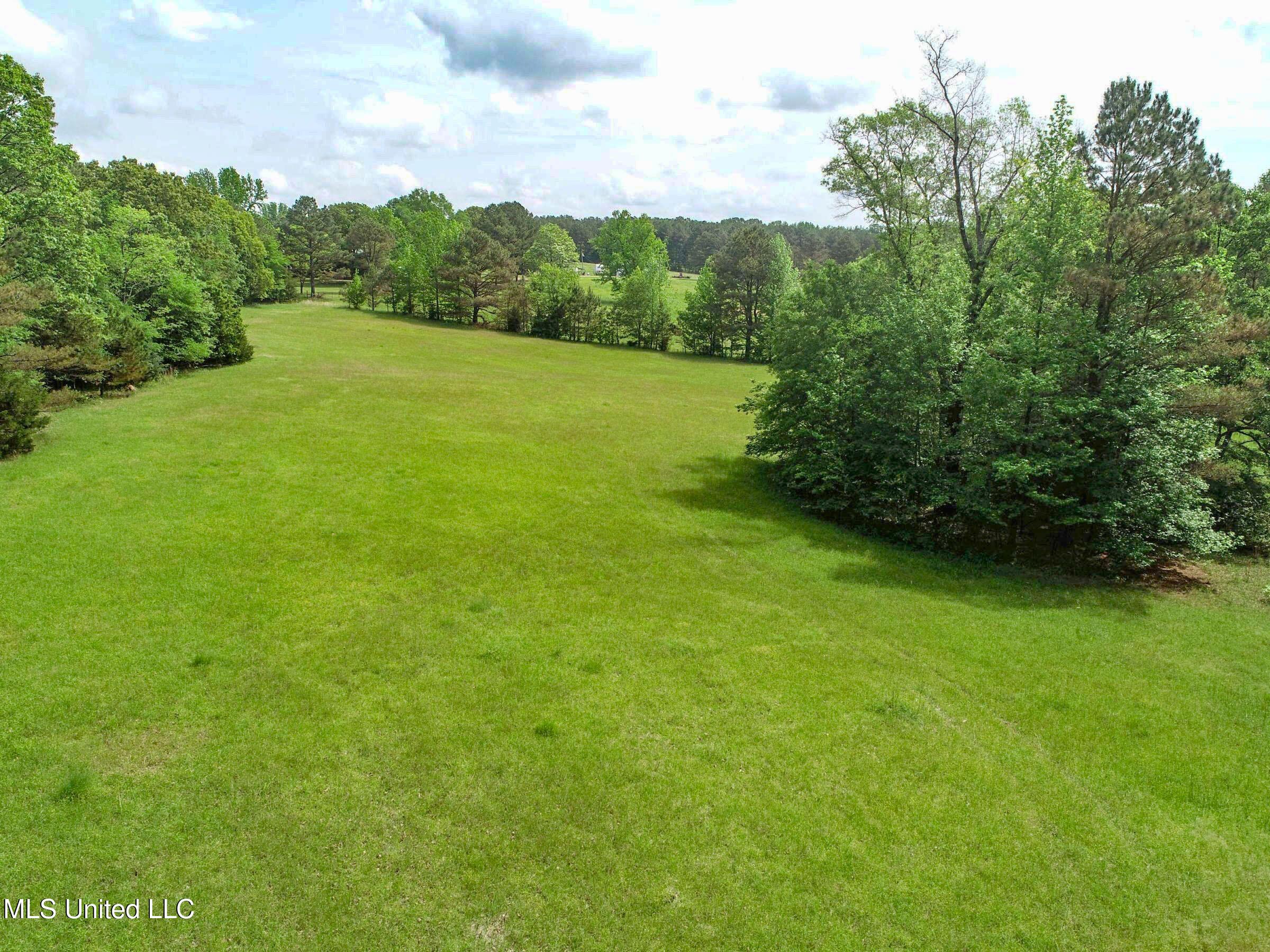 Tbd John Branch Road Sardis, MS 38666 - Photo 34 of 45 3jbrdcst23