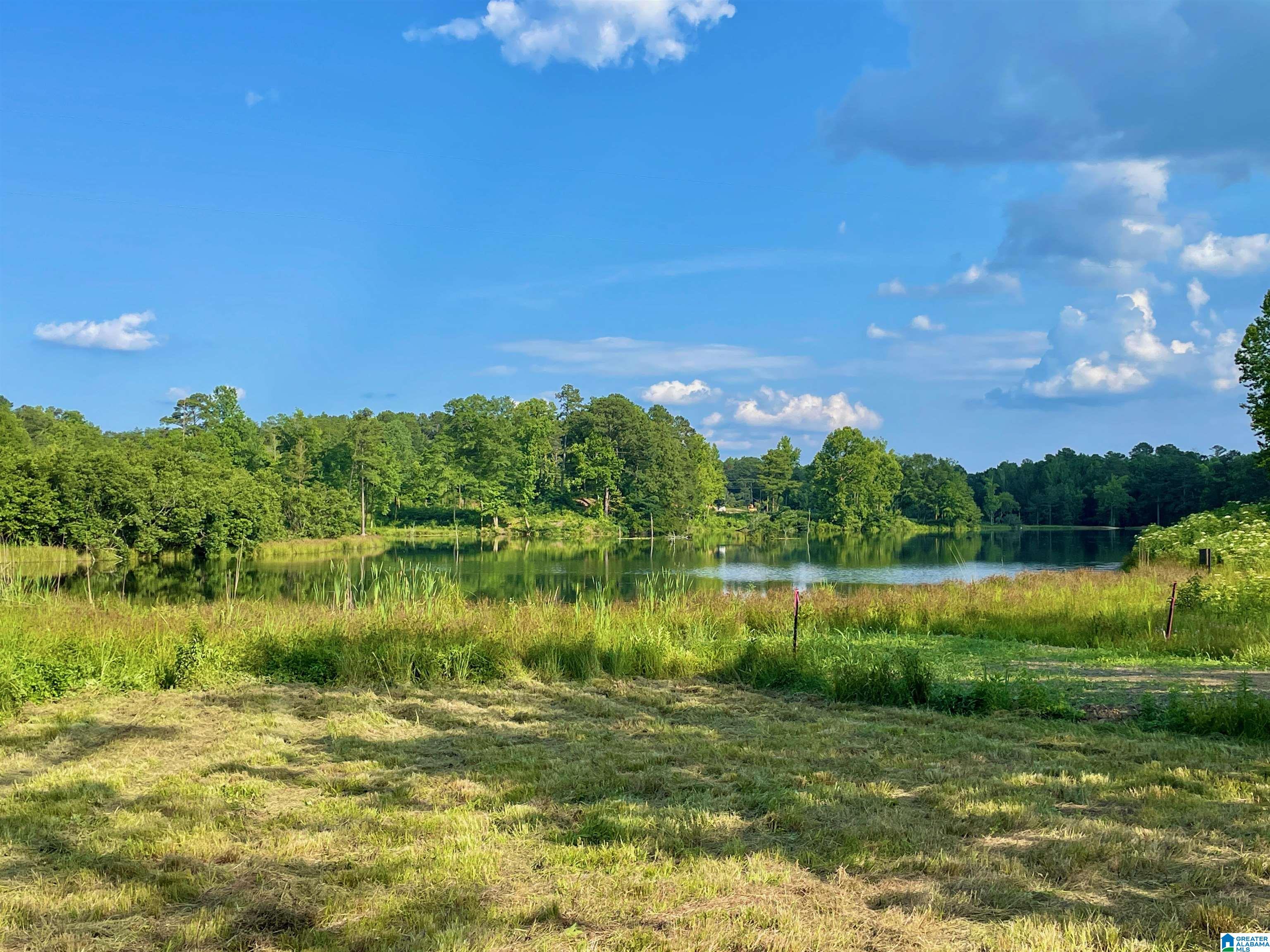 0 Burton Road, Unit 16 Shelby, AL 35143 - Photo 10 of 16