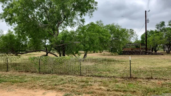 a view of a yard with a tree