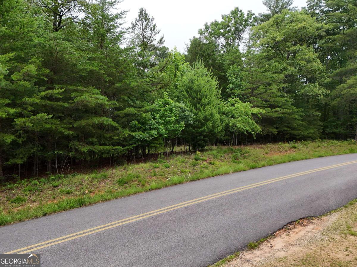 Lot 3 Cook Henry Road Blairsville, GA 30512 - Photo 2 of 18