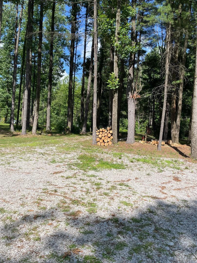 4026 North 700th Road East Jasonville, IN 47438 - Photo 5 of 16