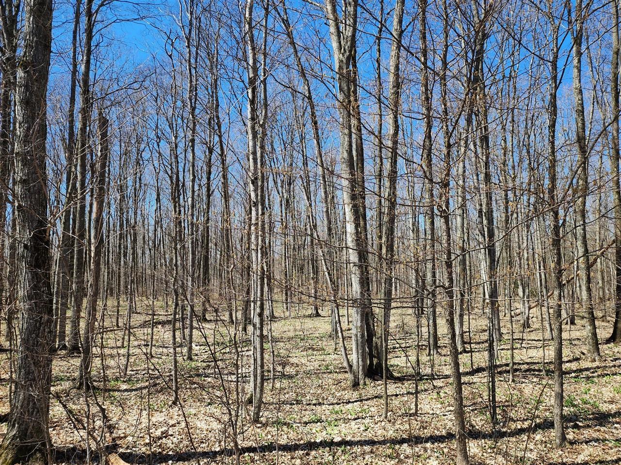 29 Goshawk Ridge Traverse City, MI 49684 - Photo 10 of 21