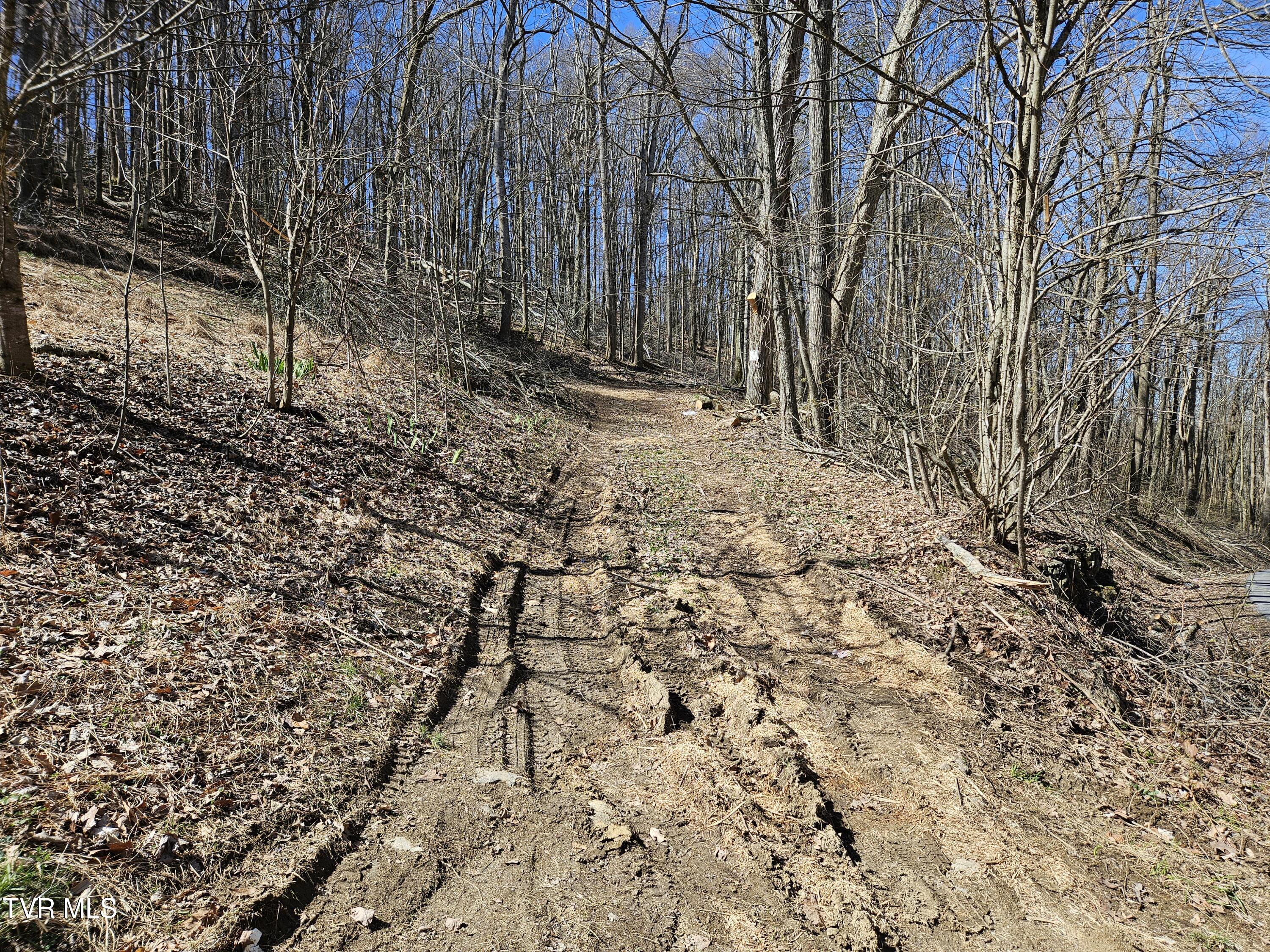 0 Shuler Hollow Road Chilhowie, VA 24319 - Photo 2 of 9 1000010479