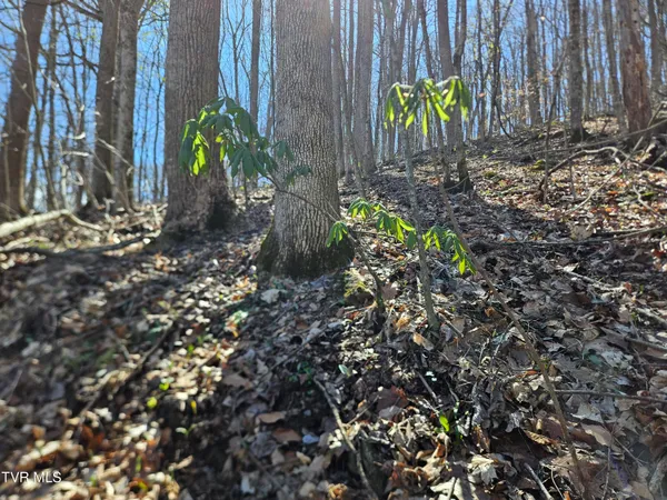 $90,000 | 0 Shuler Hollow Road, Chilhowie, VA 24319