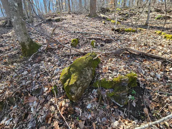 $90,000 | 0 Shuler Hollow Road, Chilhowie, VA 24319