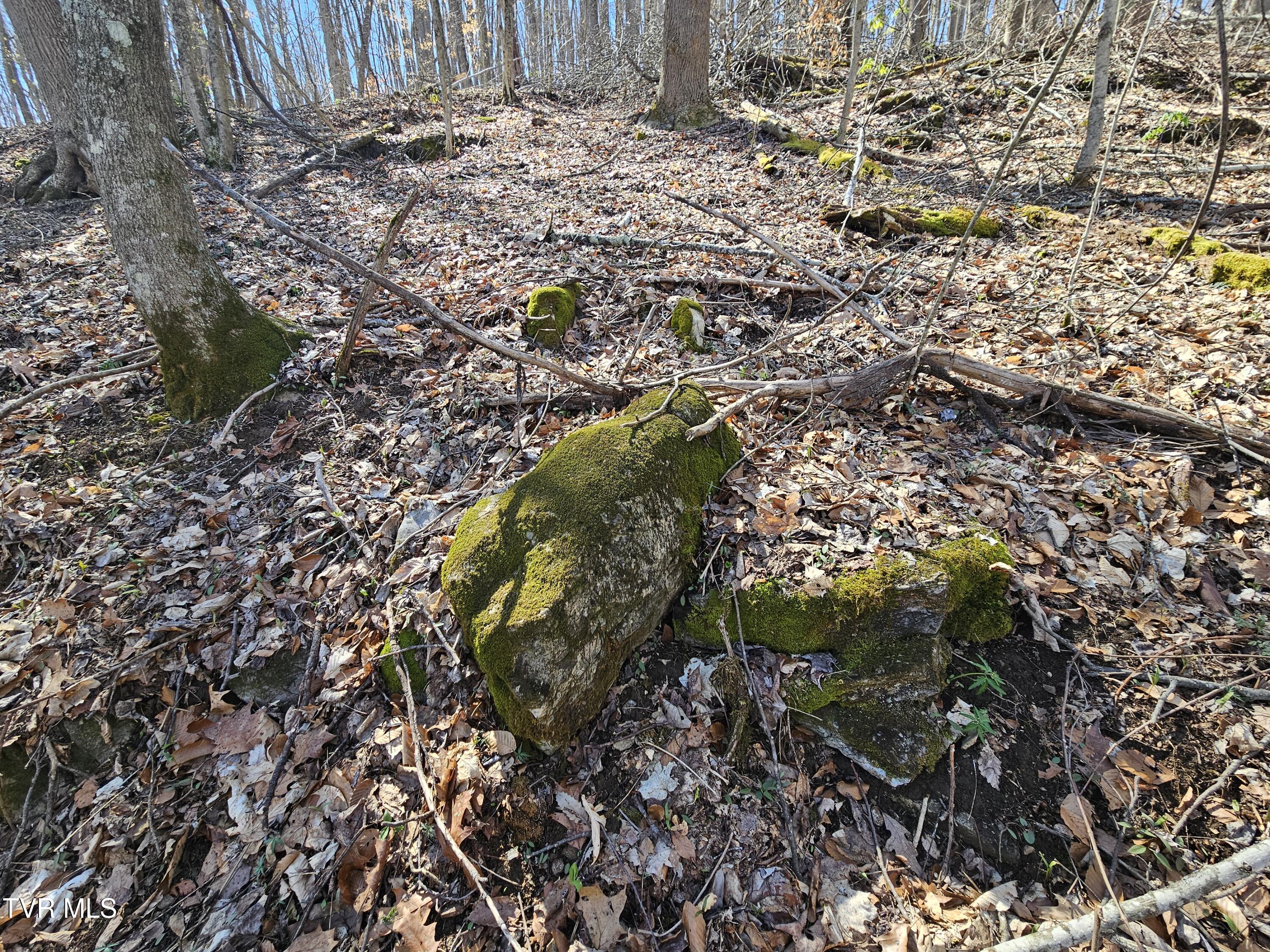 0 Shuler Hollow Road Chilhowie, VA 24319 - Photo 5 of 9 1000010483