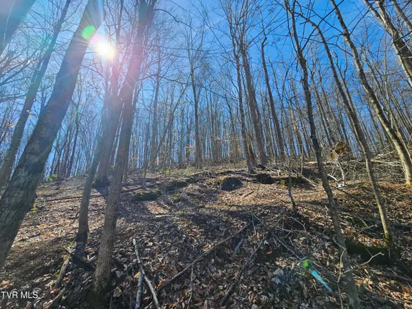 $90,000 | 0 Shuler Hollow Road, Chilhowie, VA 24319