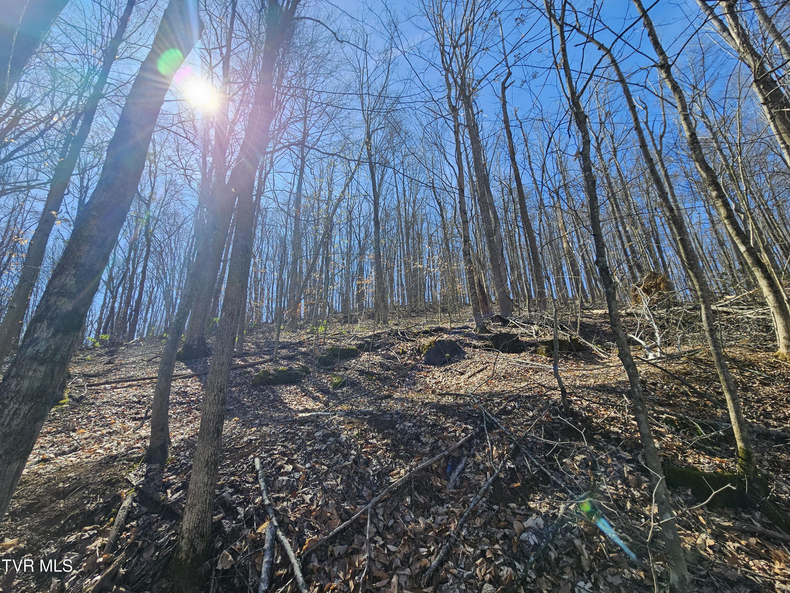 0 Shuler Hollow Road Chilhowie, VA 24319 - Photo 6 of 9 1000010484