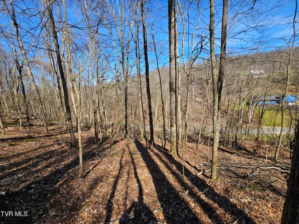 $90,000 | 0 Shuler Hollow Road, Chilhowie, VA 24319