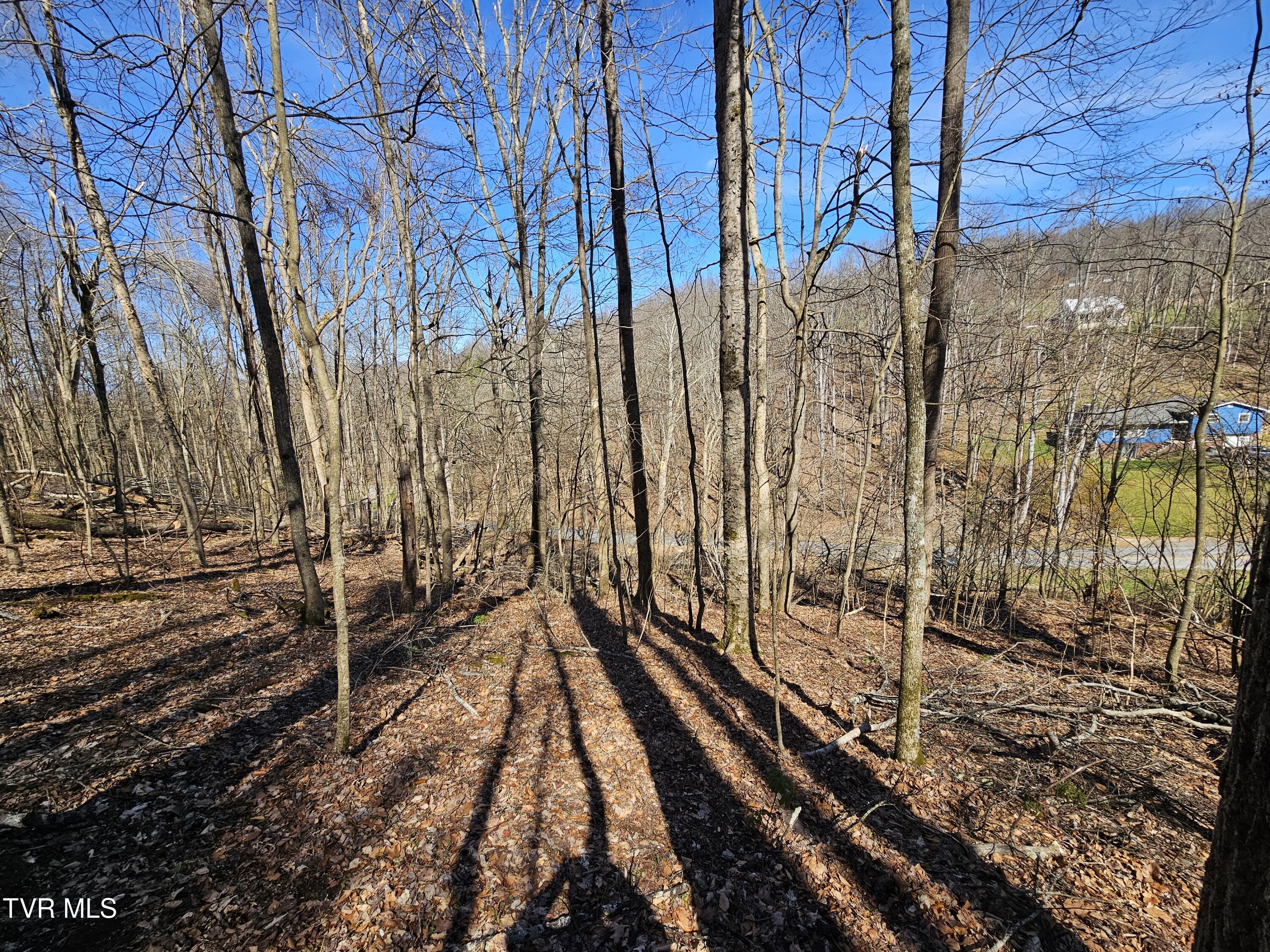 0 Shuler Hollow Road Chilhowie, VA 24319 - Photo 7 of 9 1000010485