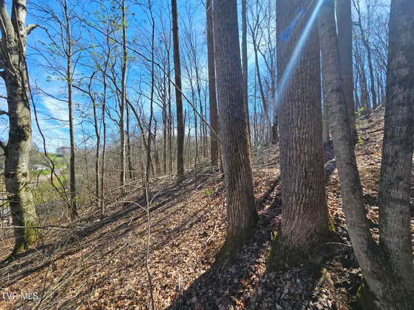 $90,000 | 0 Shuler Hollow Road, Chilhowie, VA 24319