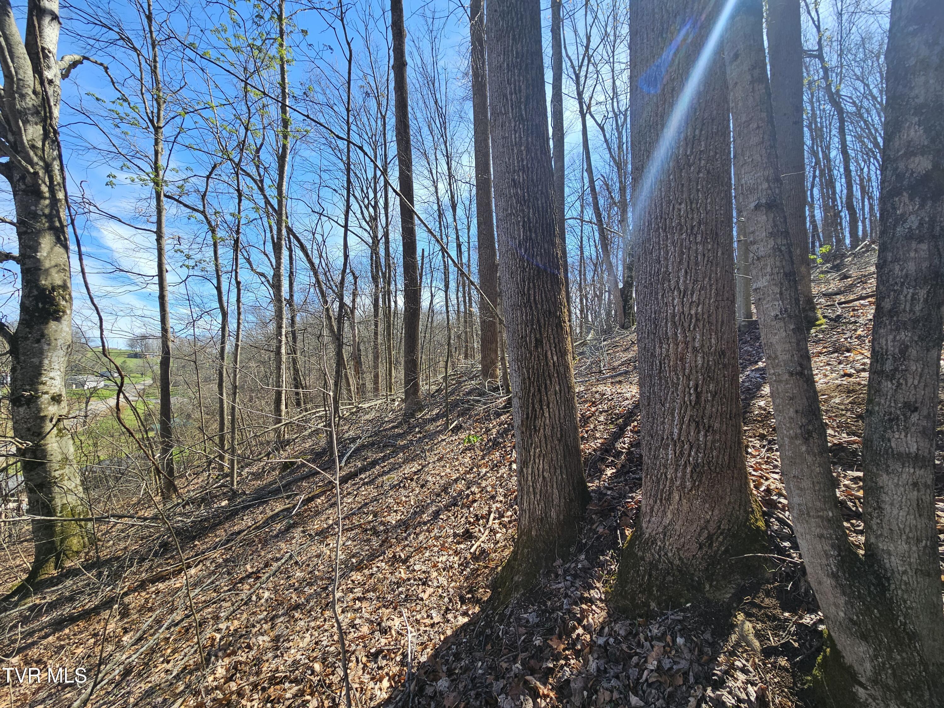 0 Shuler Hollow Road Chilhowie, VA 24319 - Photo 8 of 9 1000010486