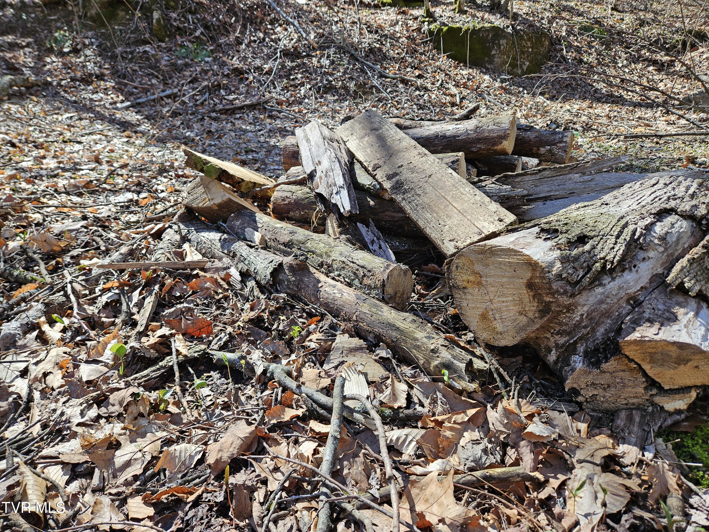 0 Shuler Hollow Road Chilhowie, VA 24319 - Photo 9 of 9 1000010487