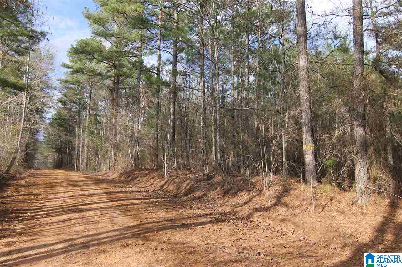 500 Lil Beaver Road, Unit 260 AC Daviston, AL 36256 - Photo 3 of 20