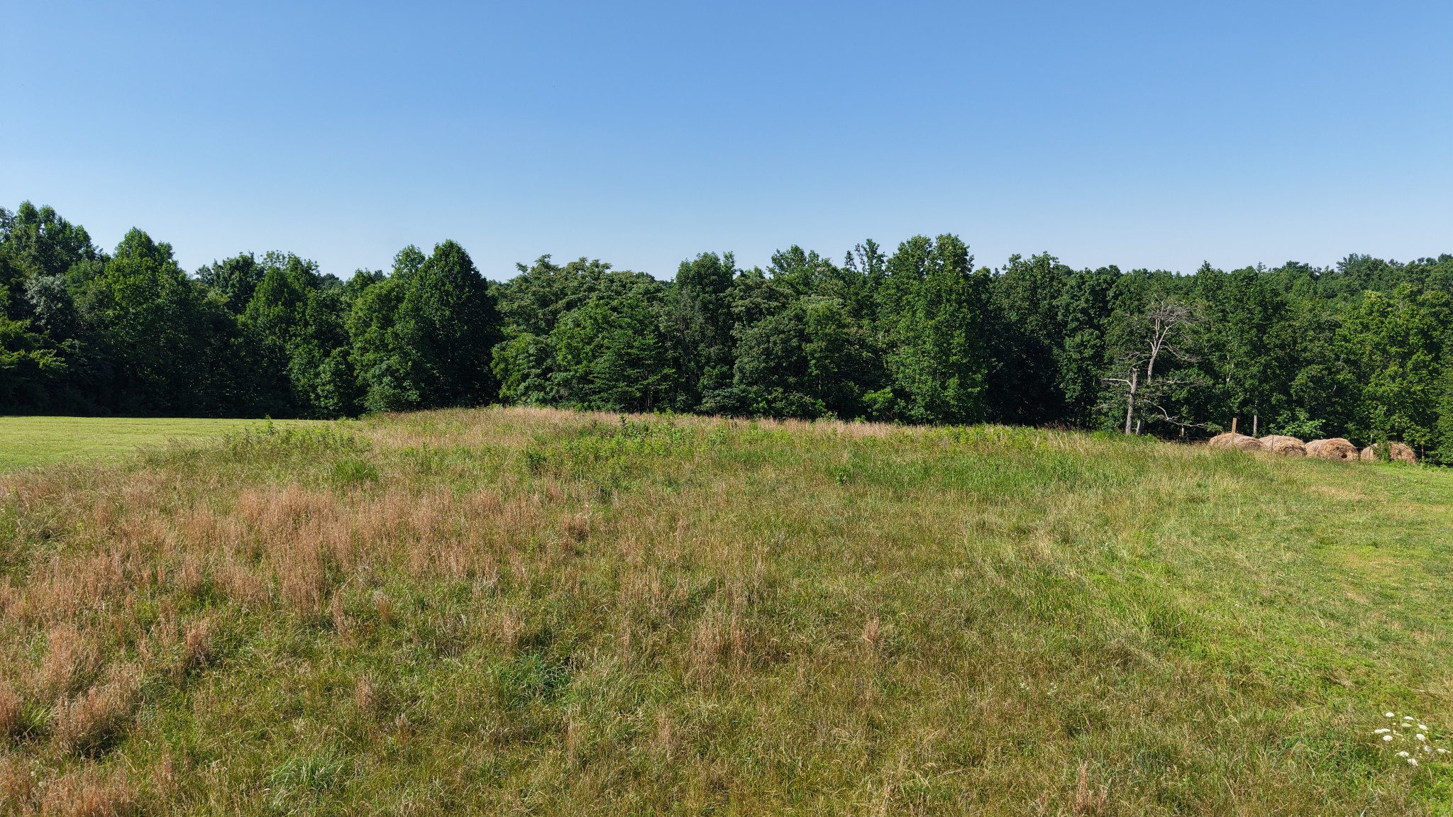 2 Hawkins Road Westmoreland, TN 37186 - Photo 12 of 13