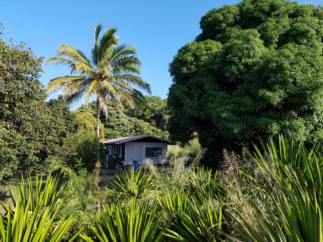 87-3460 Hawaii Belt Road Captain Cook, HI 96704 - Photo 18 of 25 a view of a garden