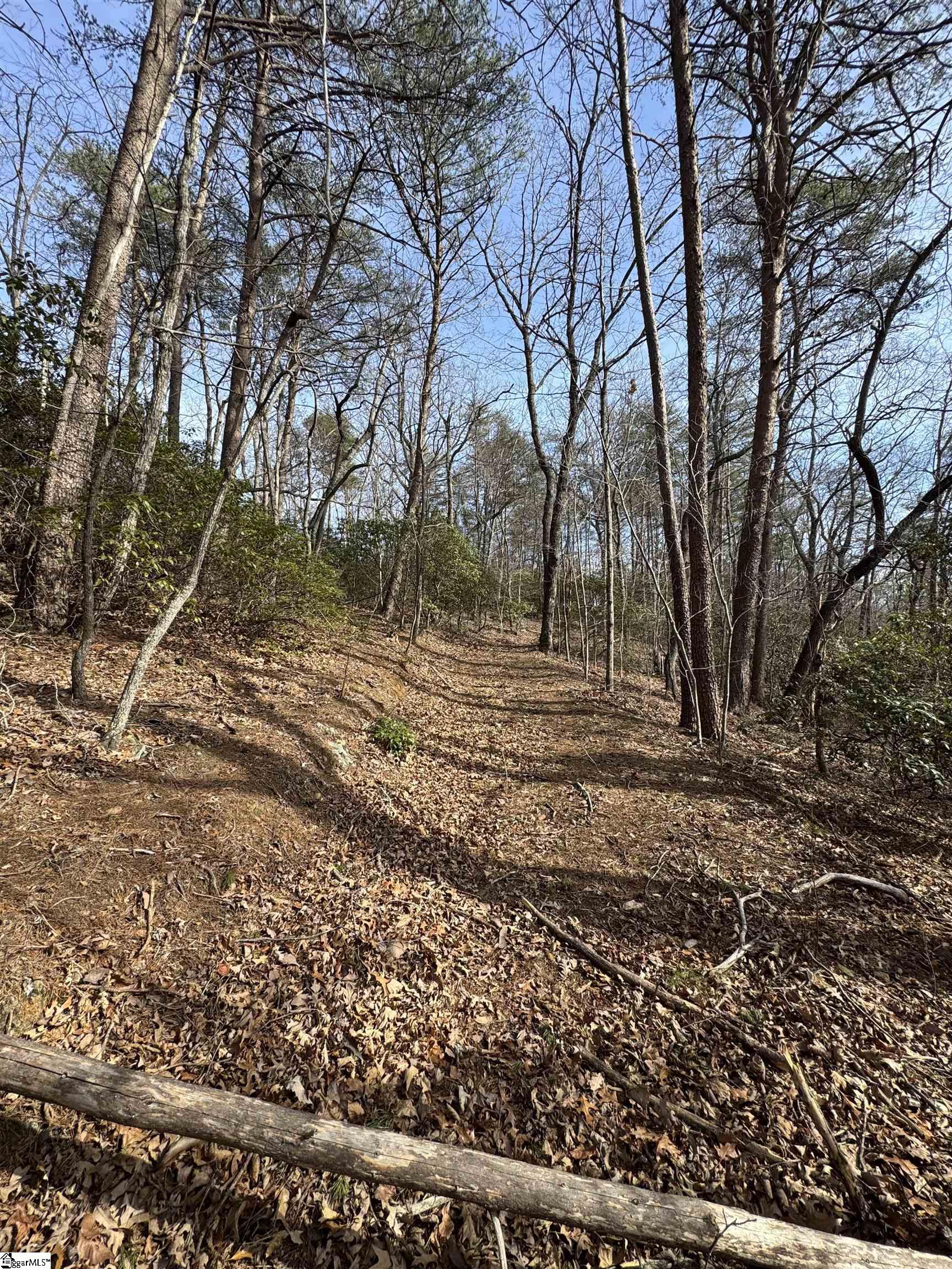 Butter Street Landrum, SC 29356 - Photo 14 of 19