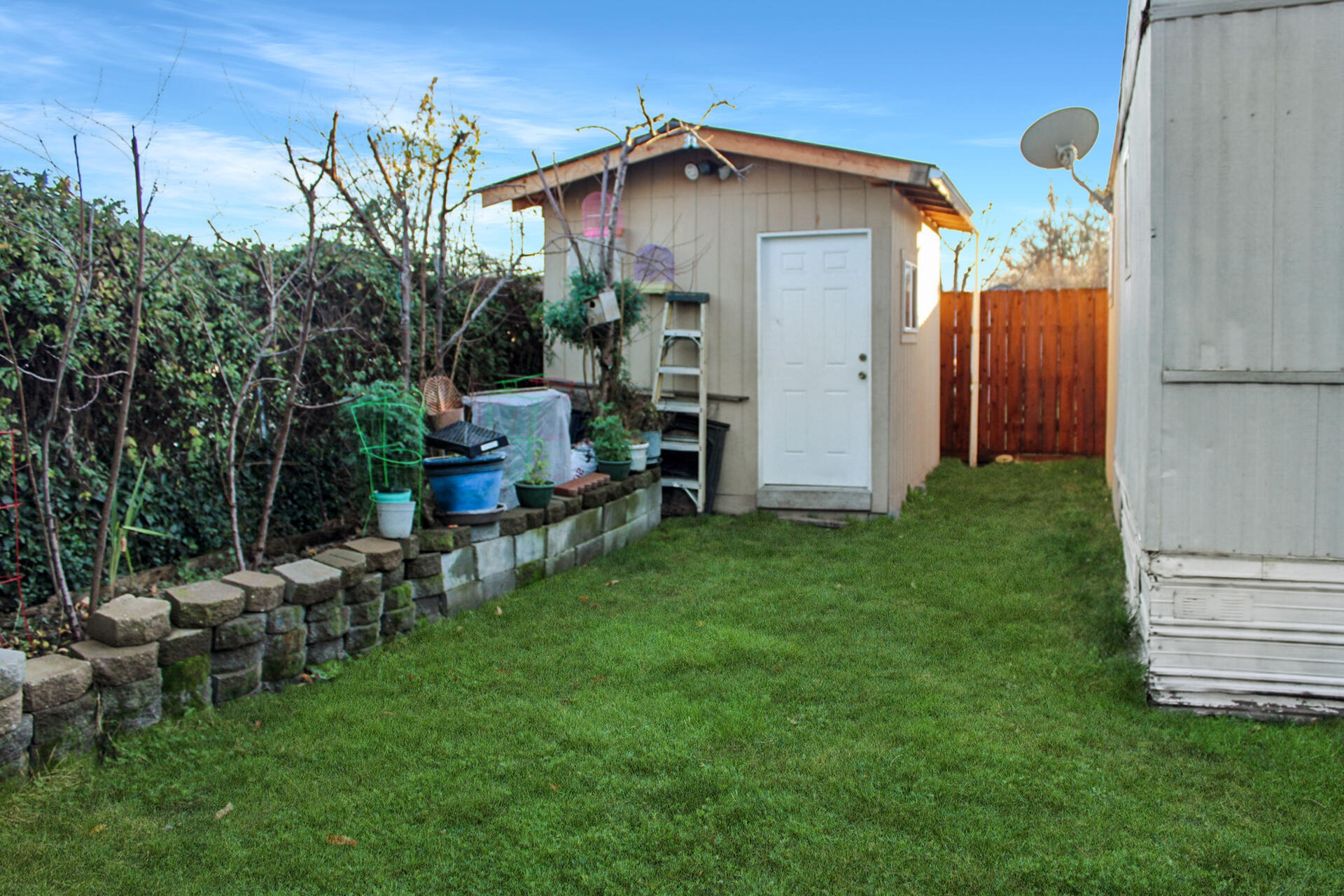 3635 Antelope Road, Unit SPC 19 White City, OR 97503 - Photo 15 of 16 Fruit trees & New shed
