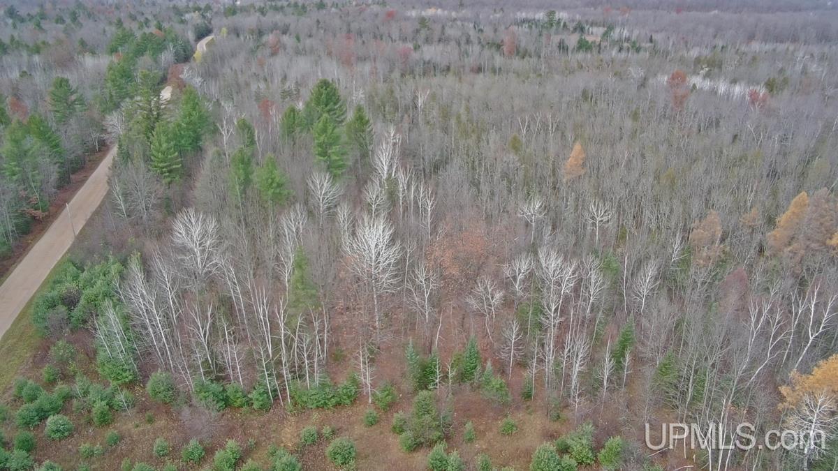 11.4-acres Barker Road Amberg, WI 54102 - Photo 13 of 14 Gallery Image 13