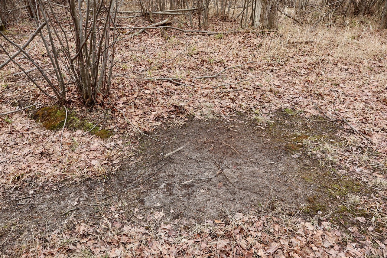 11048 Wilson Road Lake City, MI 49651 - Photo 53 of 89 Gallery Image 53